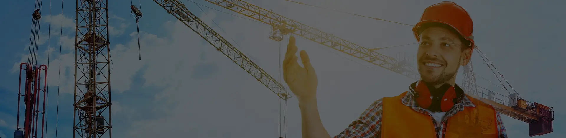 Subsdiaries And Other Entities Img